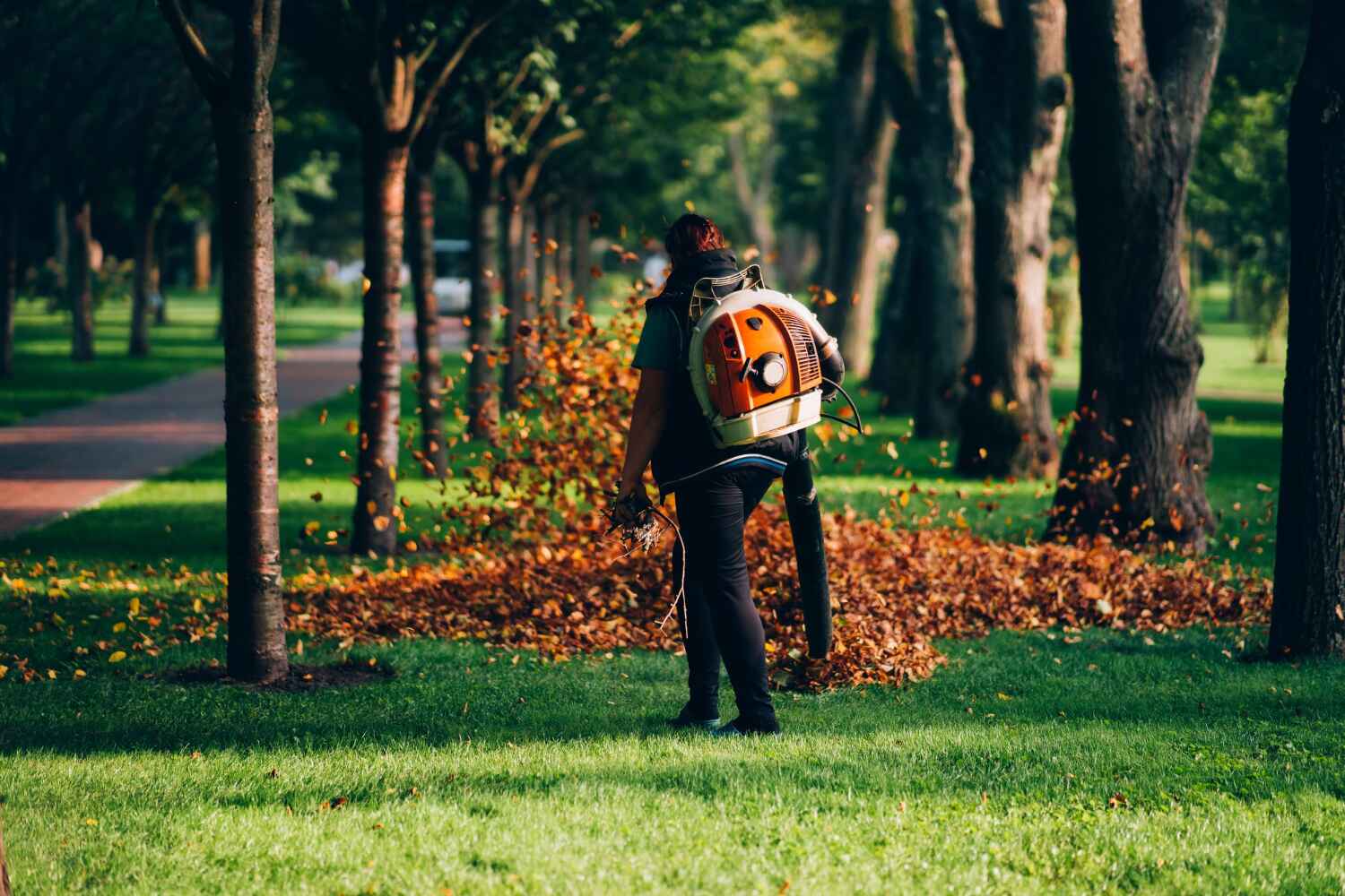  Miami Lakes, FL TreeGuard Tree Service Pros